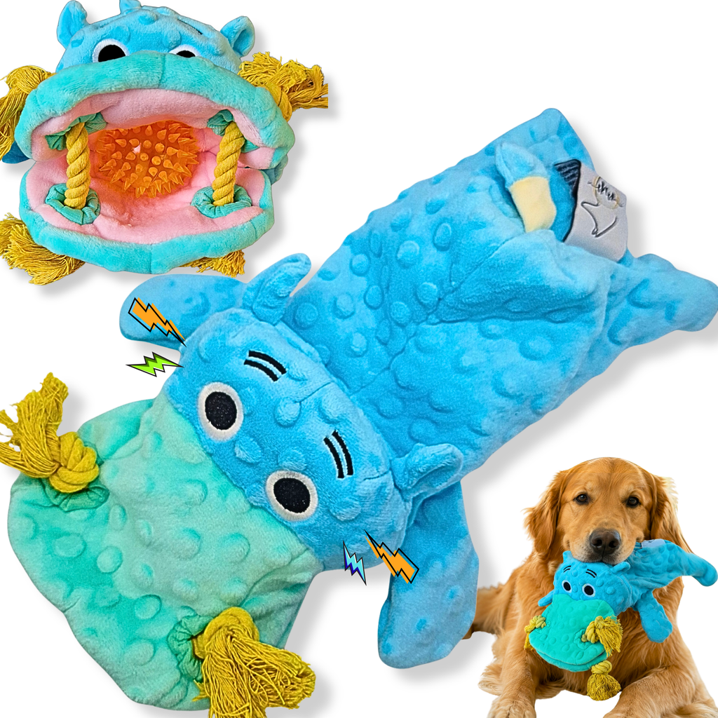 Nibbles – The Tug, Chew & Fetch Buddy with a Surprise Ball-like toy Inside