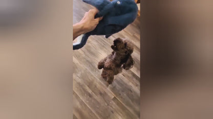 🌊 Ocean Duo Blue - Colorful, squeaky, crinkly fun in a playful pair designed for nonstop entertainment